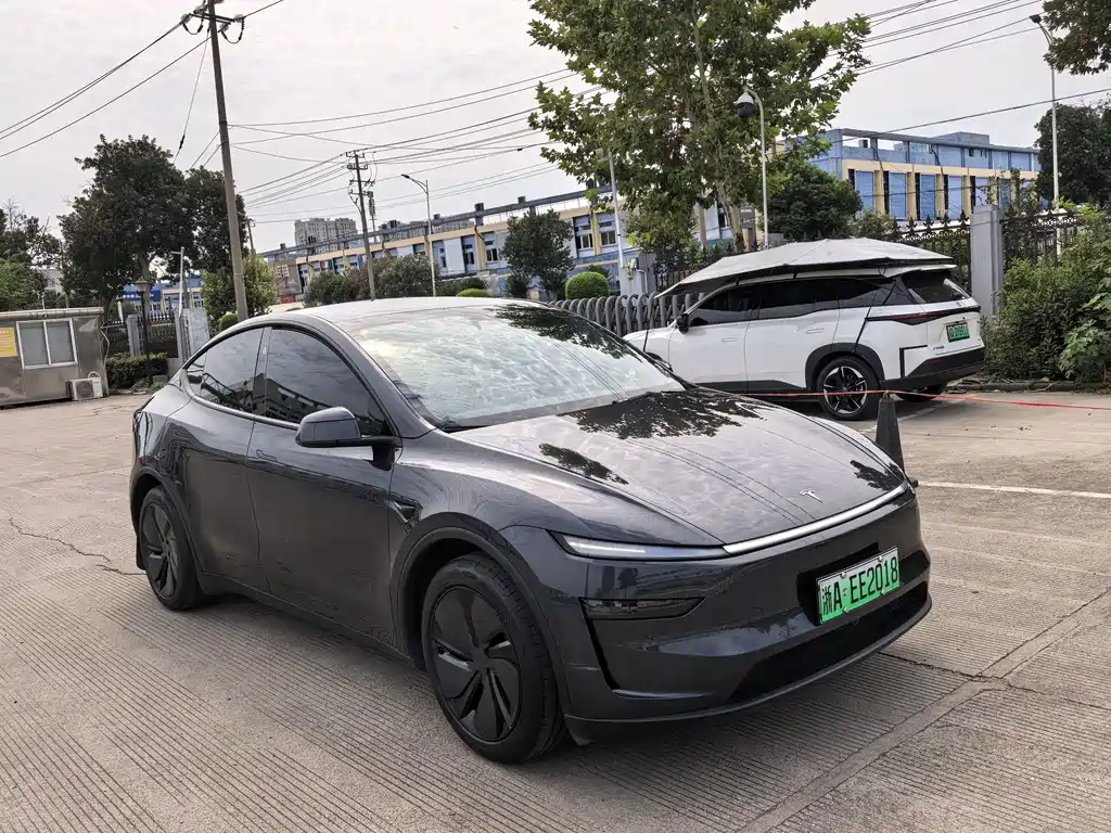 Tesla Model Y — миниатюра 2