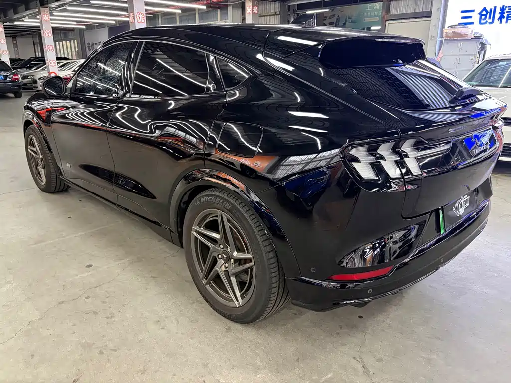 Ford Mustang Mach-E — миниатюра 7