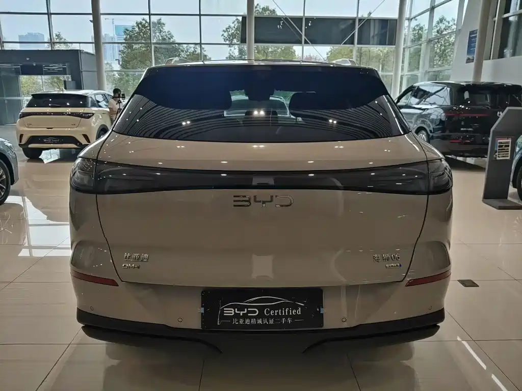 BYD Sealion 06 — миниатюра 8