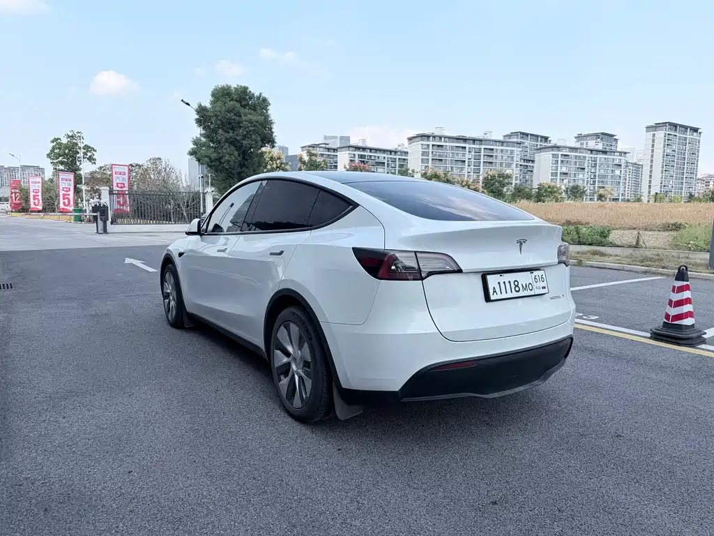 Tesla Model Y — миниатюра 4