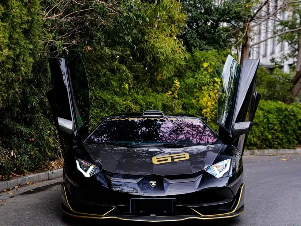 Lamborghini Aventador — миниатюра 2