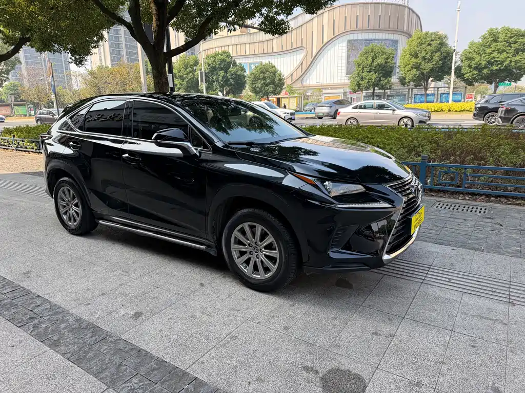 Lexus NX — миниатюра 4