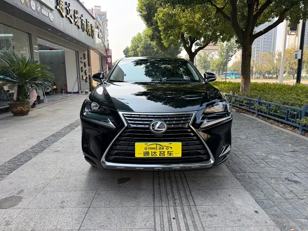 Lexus NX — миниатюра 2