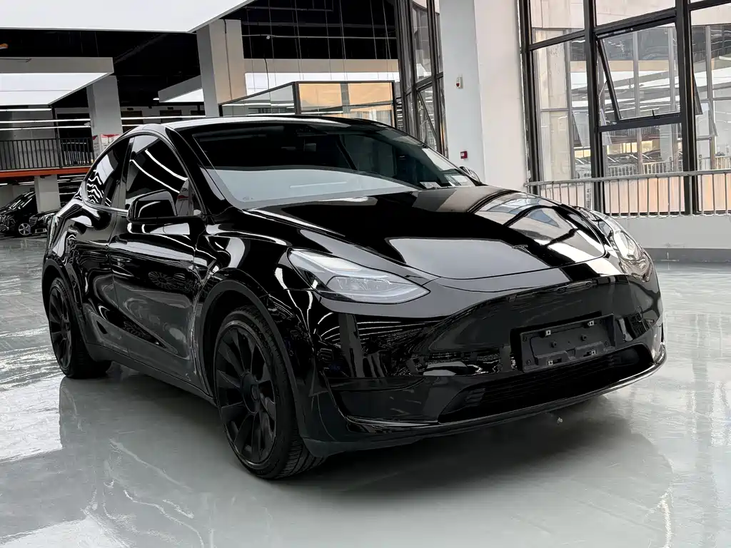 Tesla Model Y — миниатюра 3