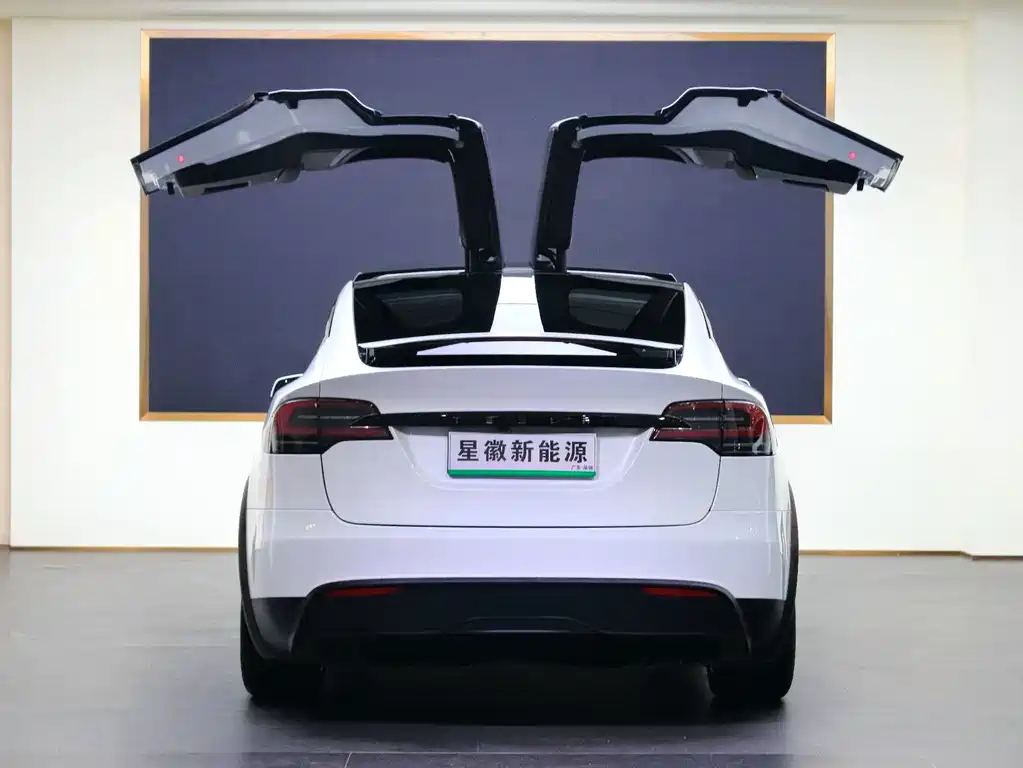 Tesla Model X — миниатюра 22