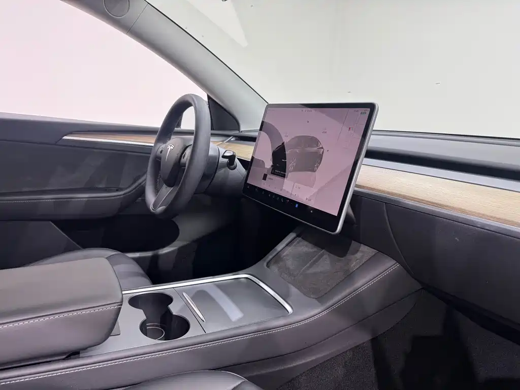 Tesla Model Y — миниатюра 12