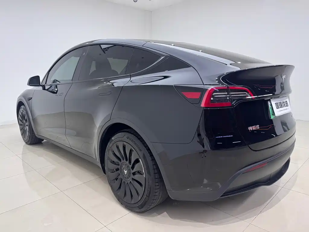 Tesla Model Y — миниатюра 6