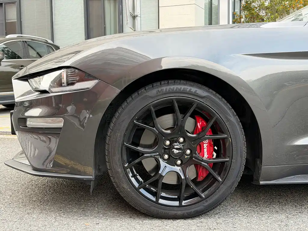 Ford Mustang — миниатюра 16