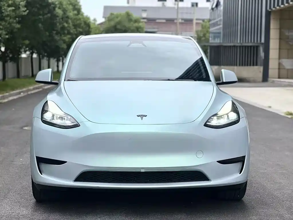 Tesla Model Y — миниатюра 2