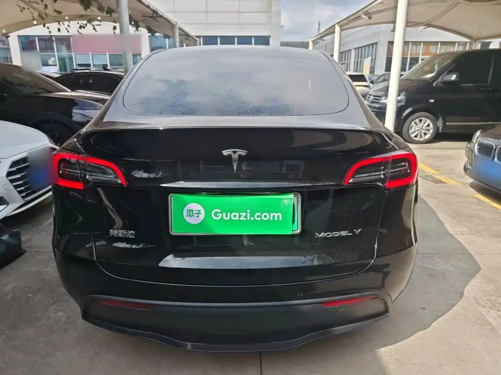 Tesla Model Y — миниатюра 6