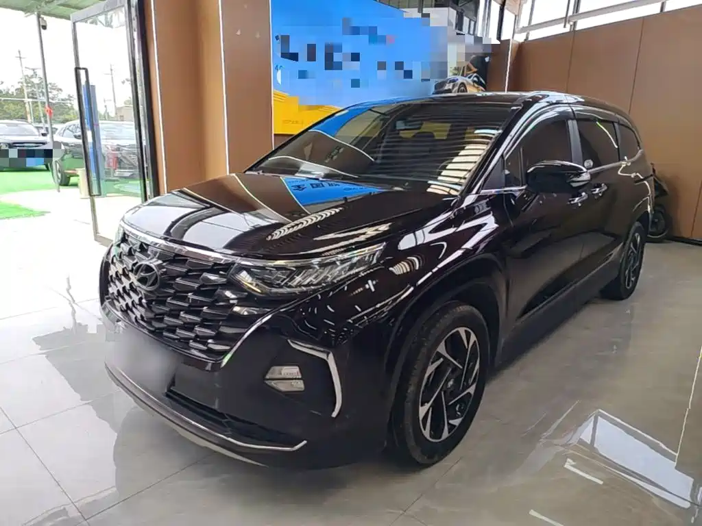 Hyundai Custo — миниатюра 2