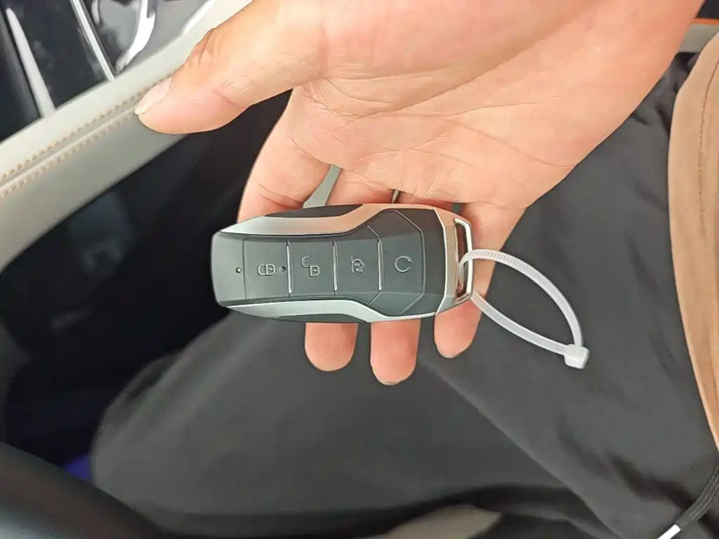 BYD PLUS New Energy — миниатюра 9