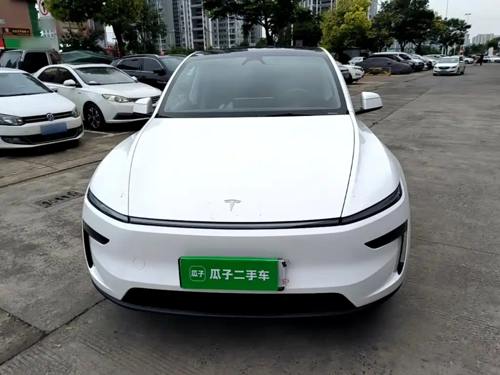 Tesla Model Y — миниатюра 3