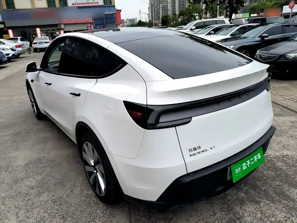 Tesla Model Y — миниатюра 5