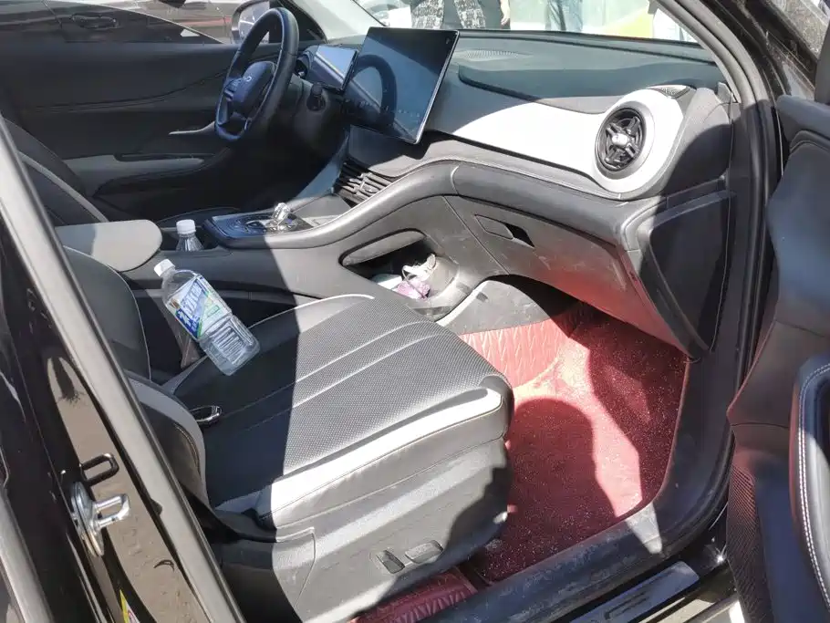 BYD Sealion 05 DM-i — миниатюра 8