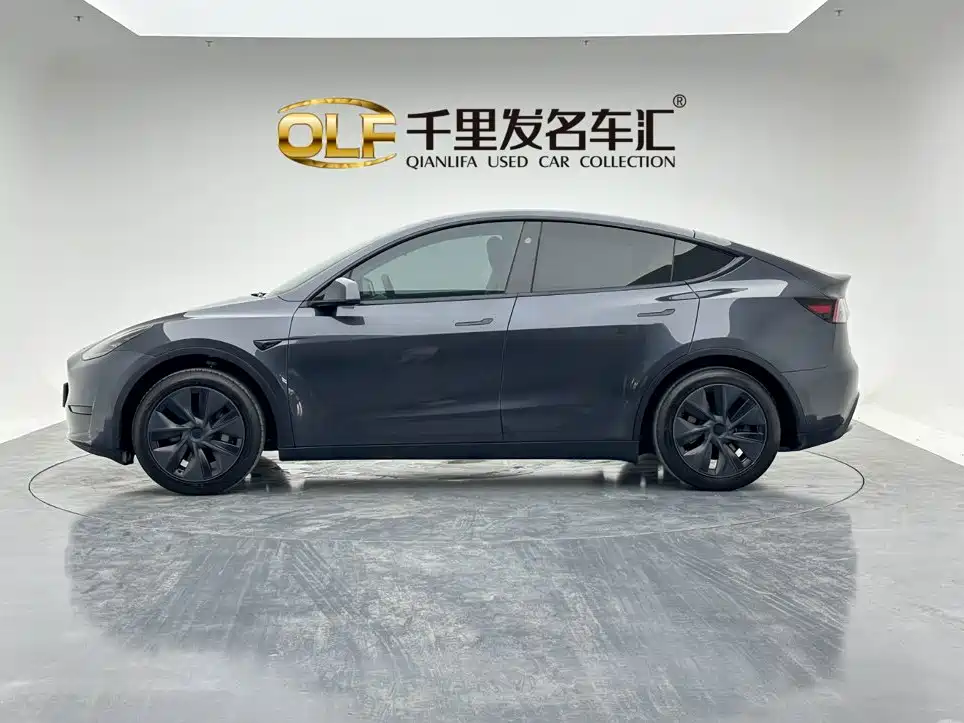 Tesla Model Y — миниатюра 2