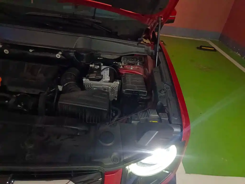 Haval Big Dog — миниатюра 23