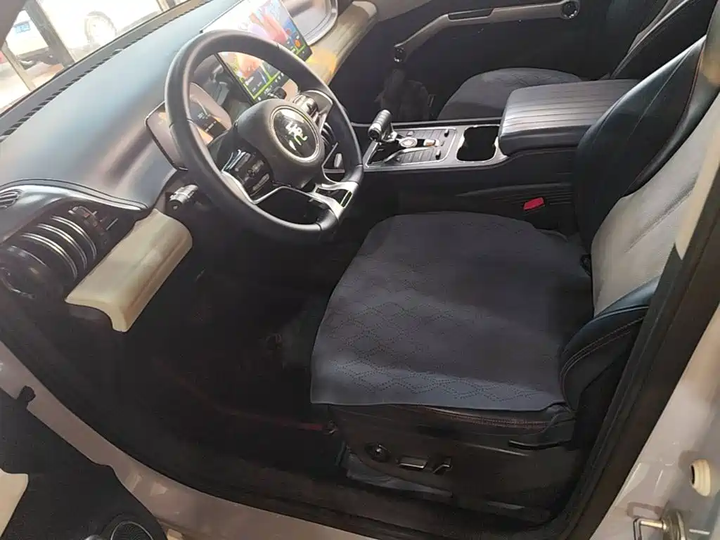 BYD Yuan Plus — миниатюра 15