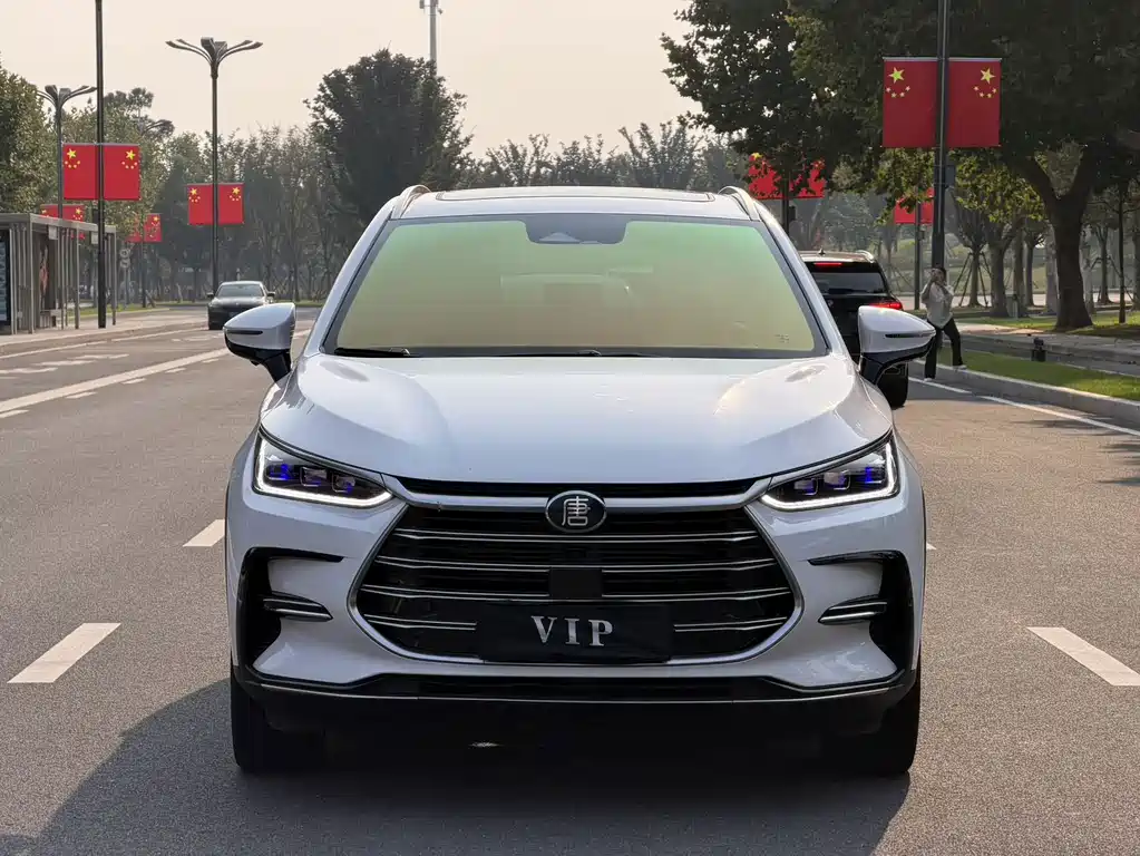 BYD Tang New Energy — миниатюра 2