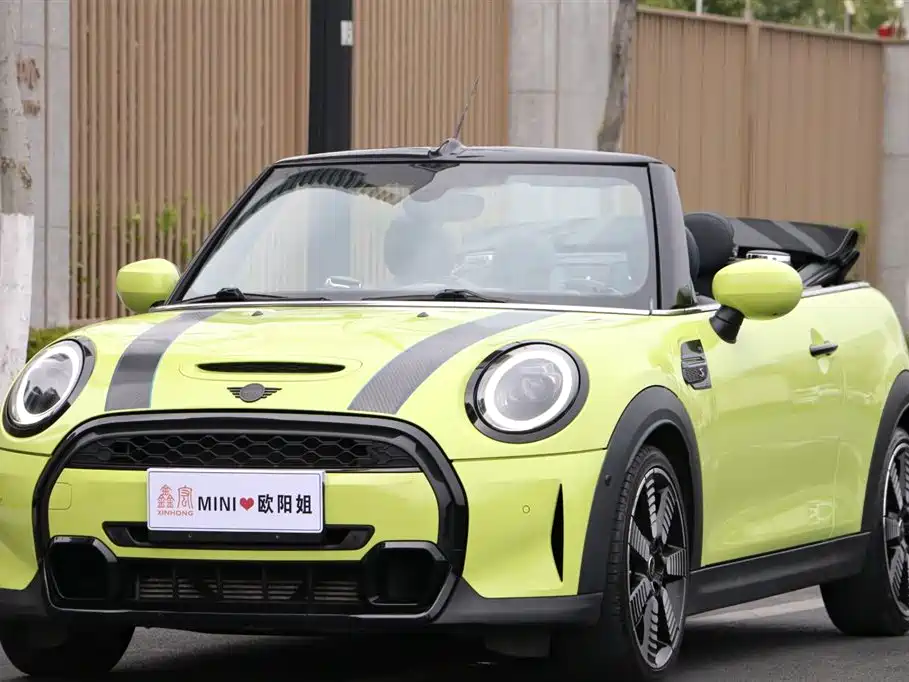 Mini Mini 2021
