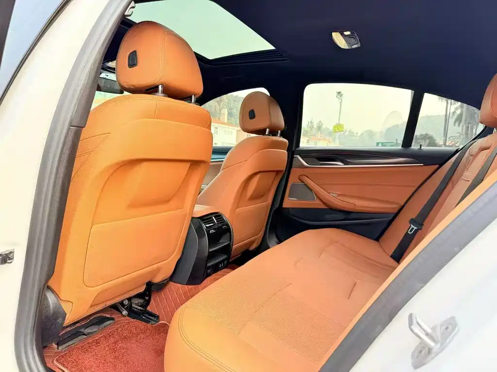 BMW 5 Series (Import) Facelift 530i M Sport Package, фото 9