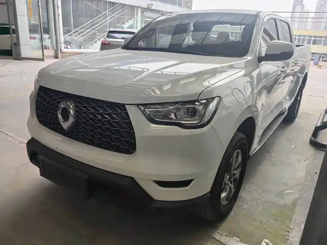 GREAT WALL CANNON 2023