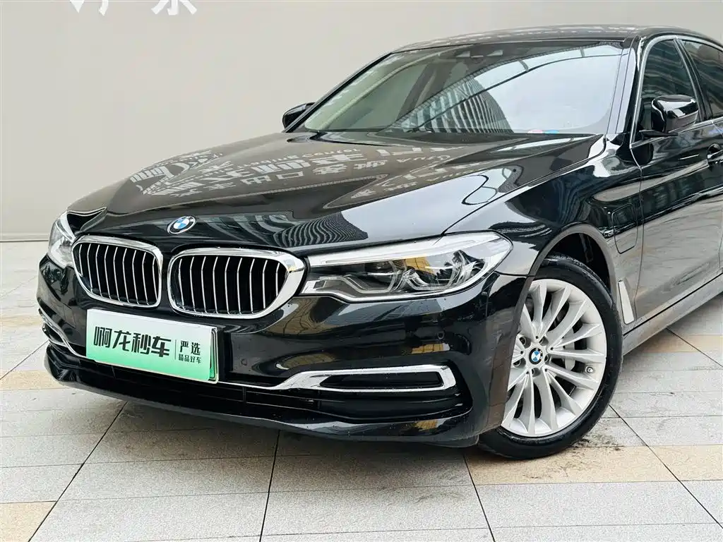 BMW 5 Series New Energy 530Le Luxury Package, фото 18