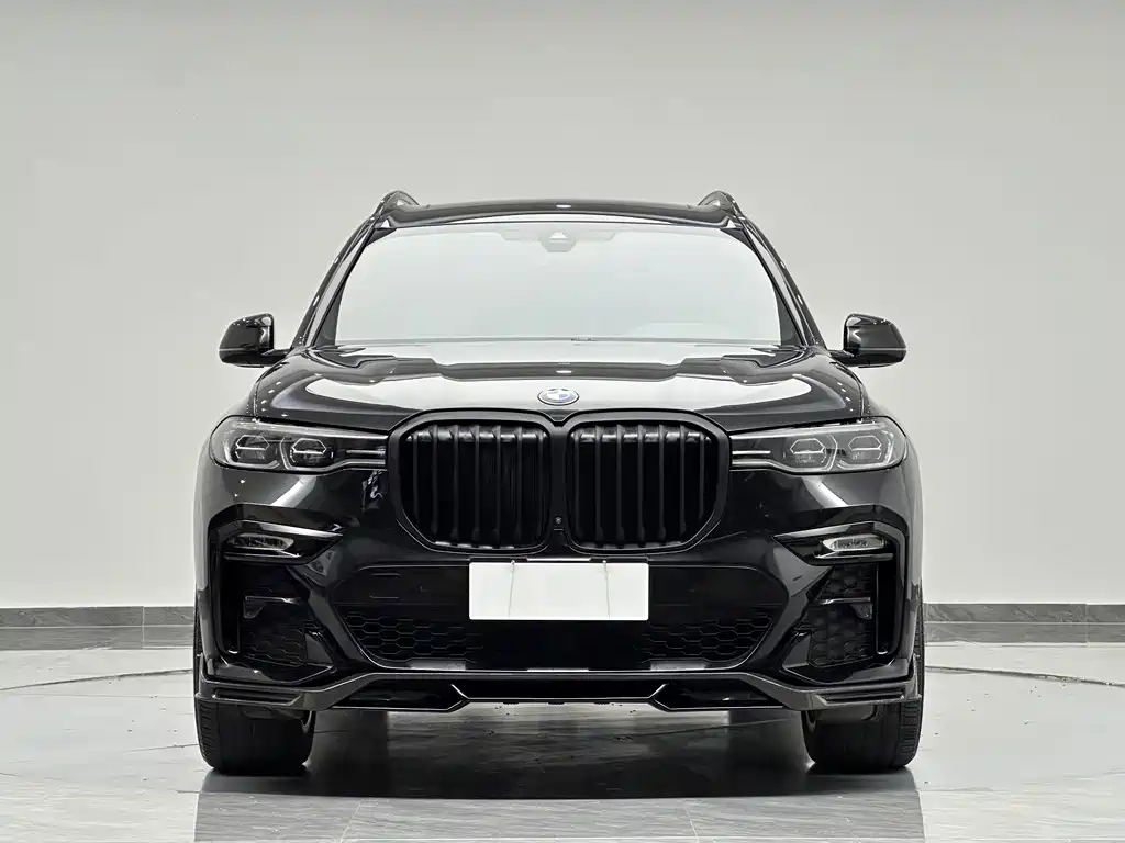 BMW X7 — миниатюра 3