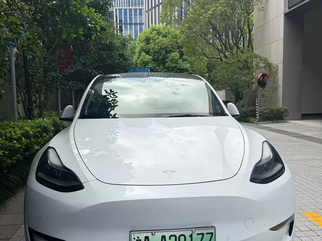 Tesla Model Y — миниатюра 2