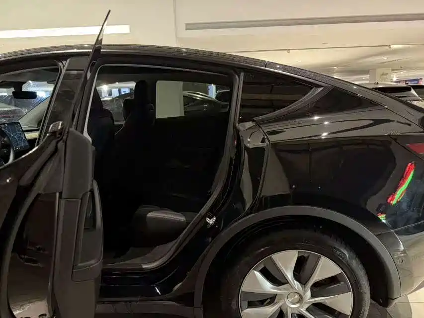 Tesla Model Y — миниатюра 6