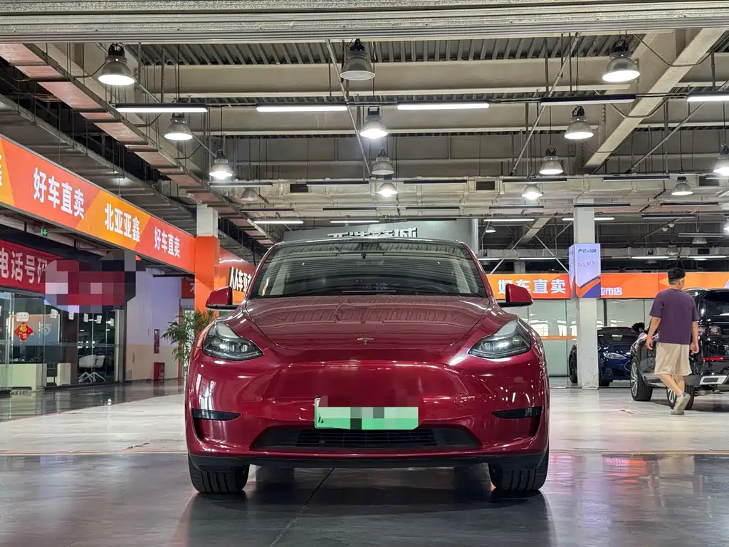 Tesla Model Y — миниатюра 2