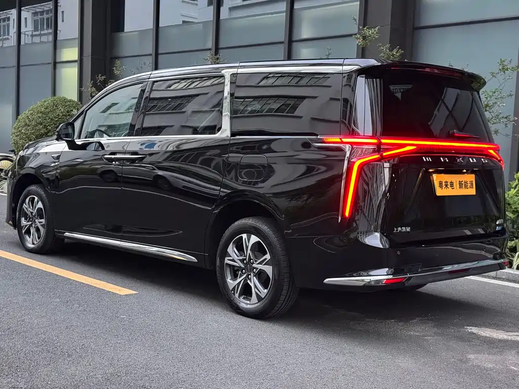 MAXUS Dajia 9 — миниатюра 6