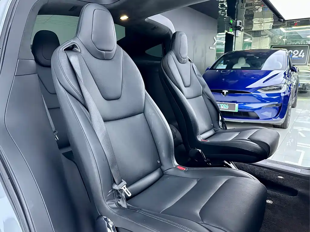 Tesla Model X — миниатюра 12