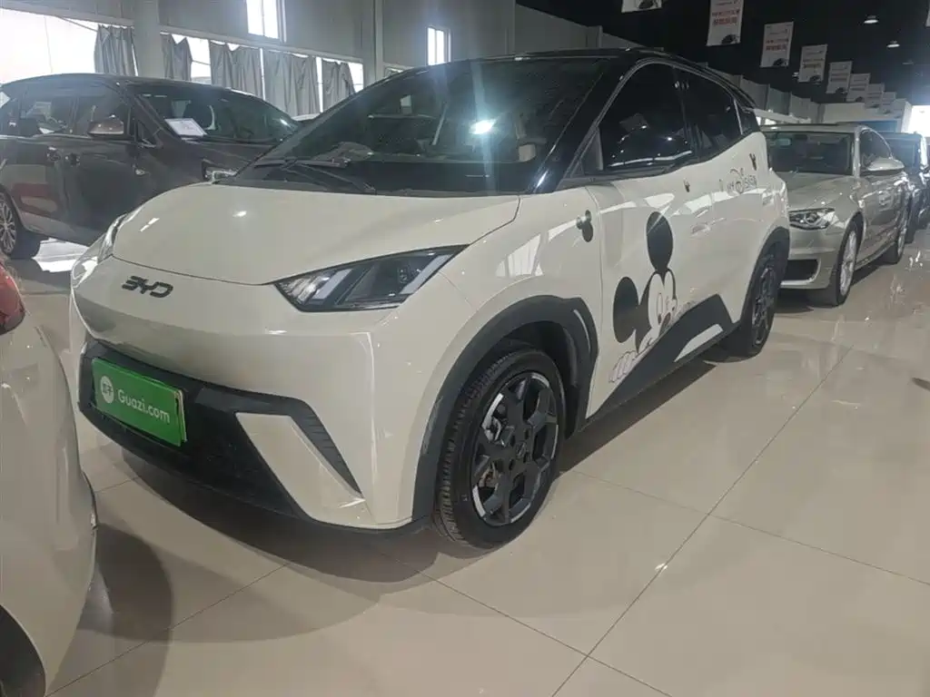 Byd Seagull 2025