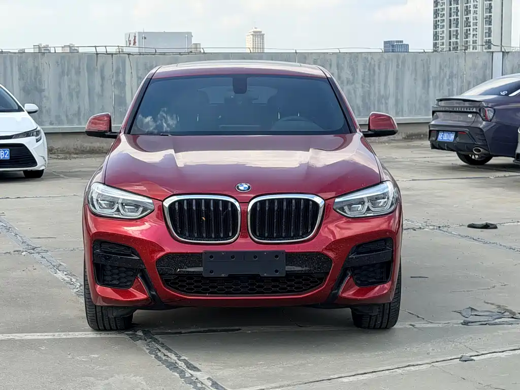 BMW X4 — миниатюра 2