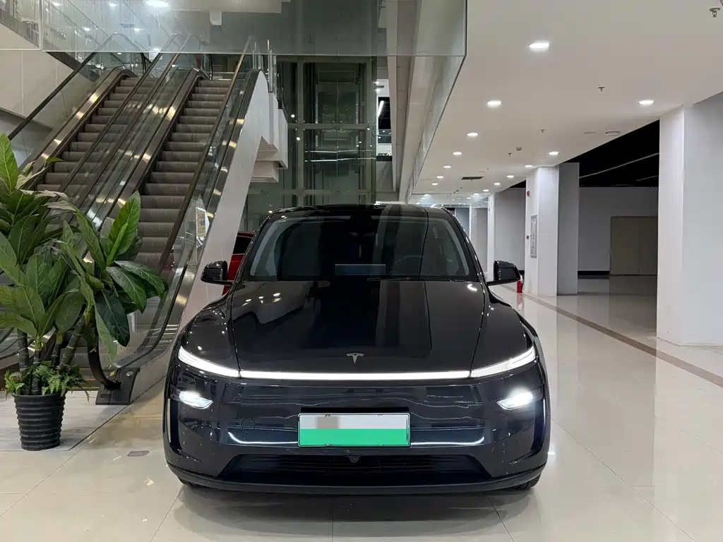 Tesla Model Y — миниатюра 2