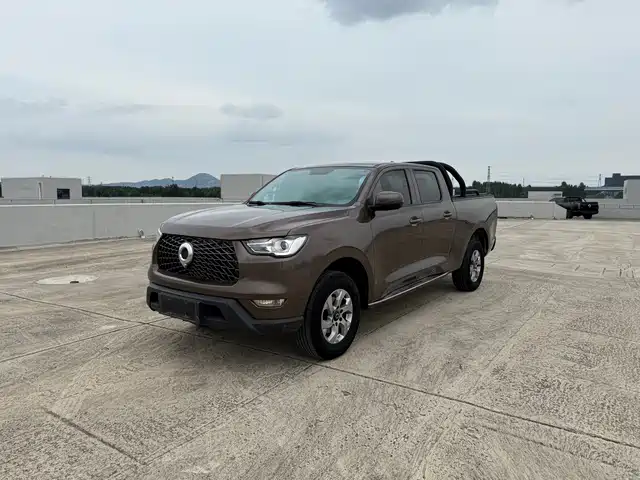 GREAT WALL CANNON 2021