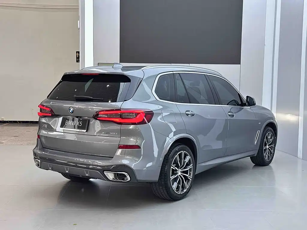 BMW X5 Facelift xDrive 30Li M Sport Package, фото 3