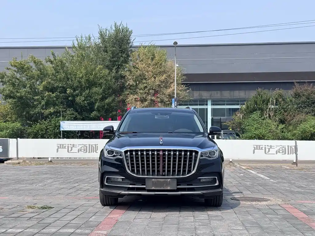Hongqi Hongqi HS7 — миниатюра 2