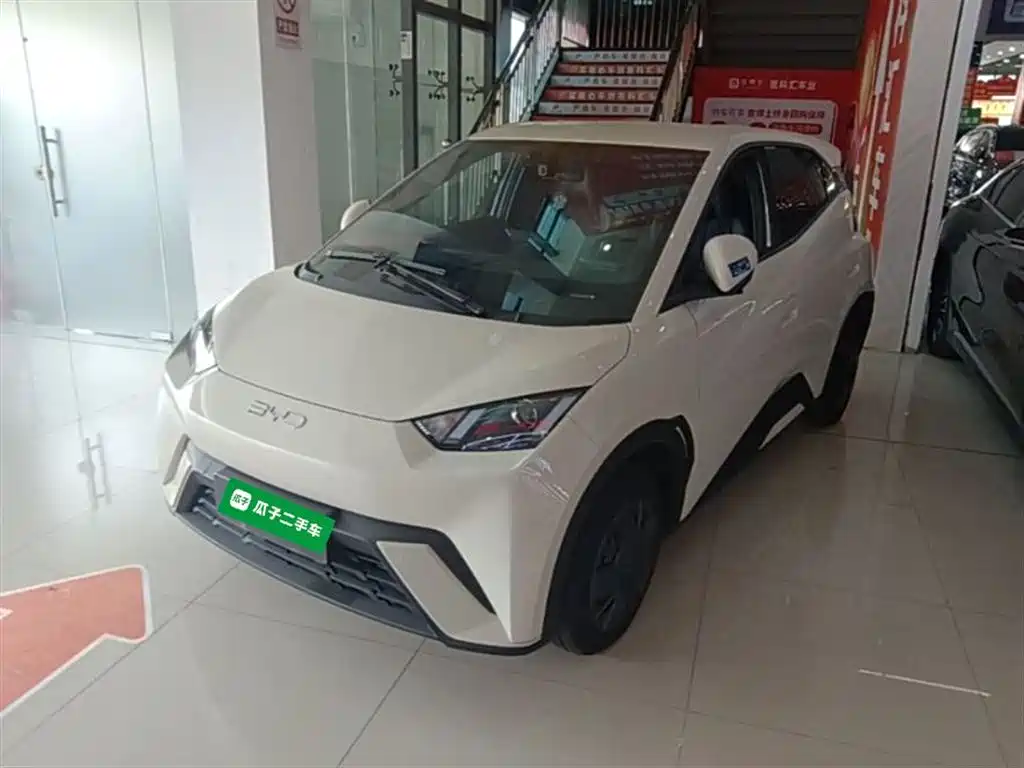 Byd Seagull 2024