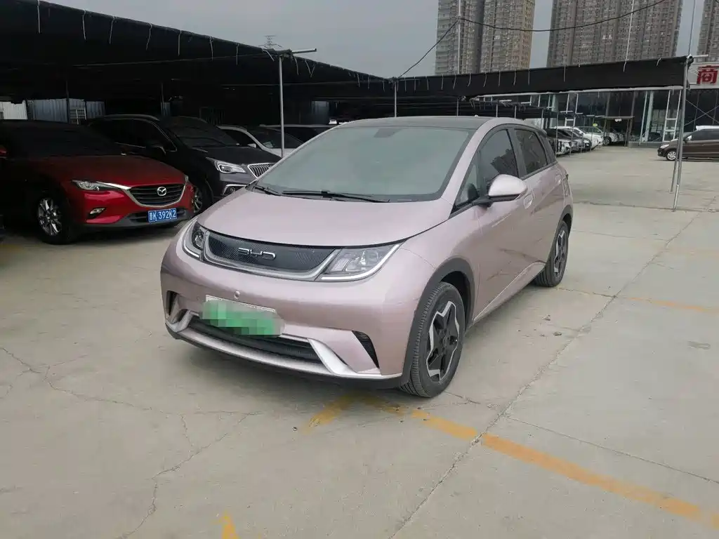 Byd Dolphin 2023