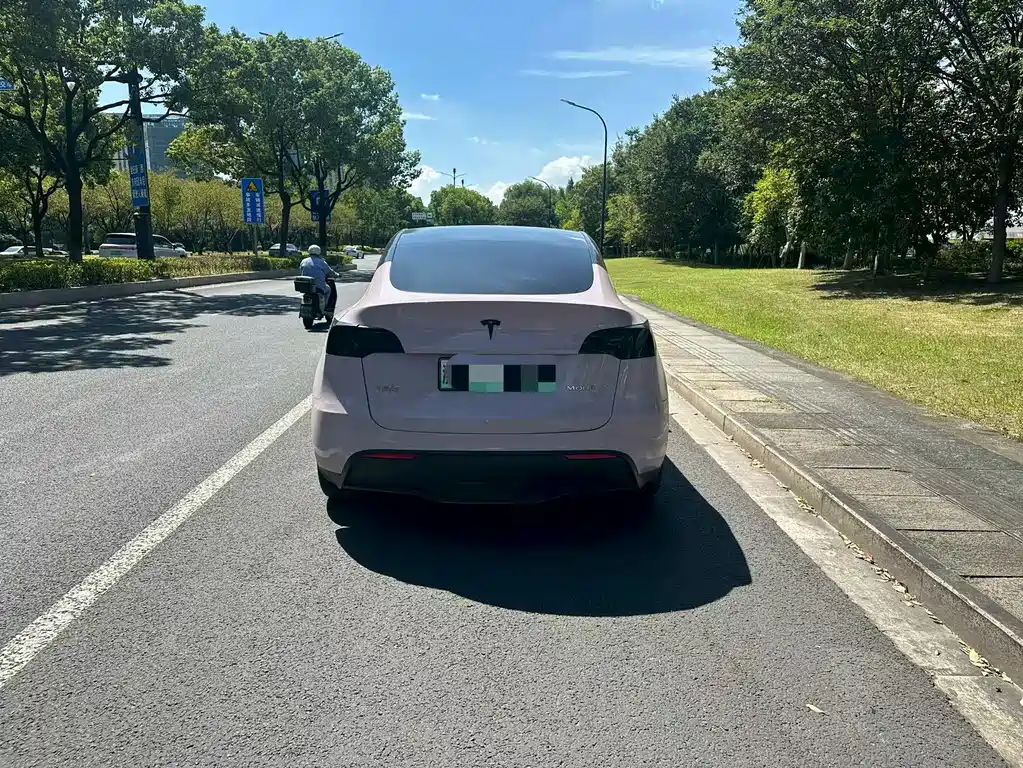 Tesla Model Y — миниатюра 4