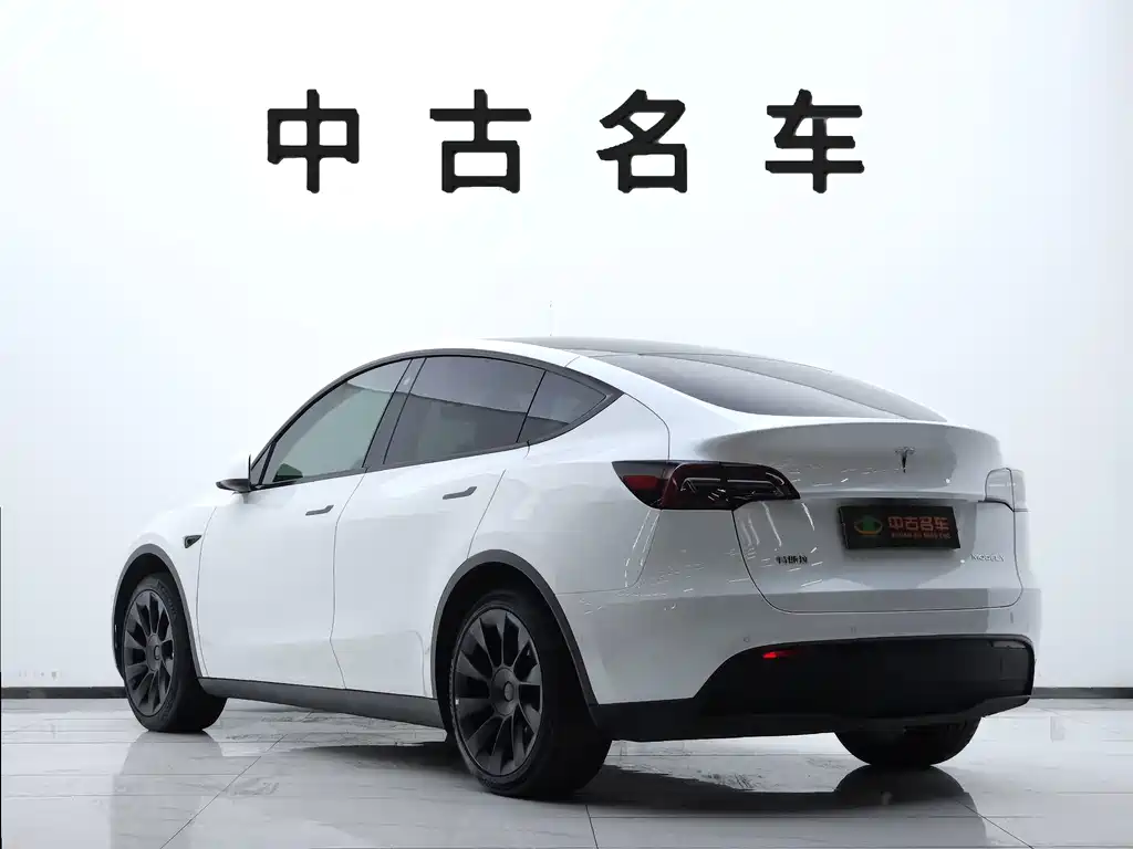 Tesla Model Y — миниатюра 6