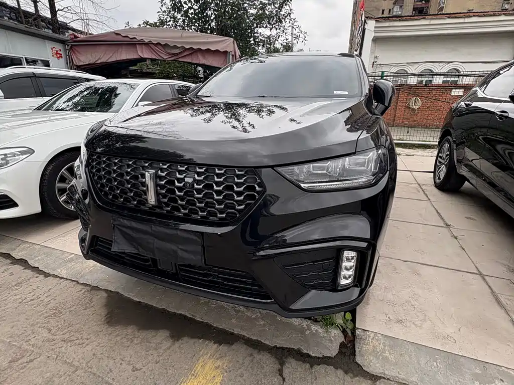 Wey Wey VV5 2020