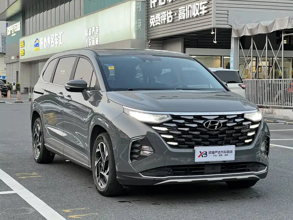Hyundai Custo — миниатюра 2