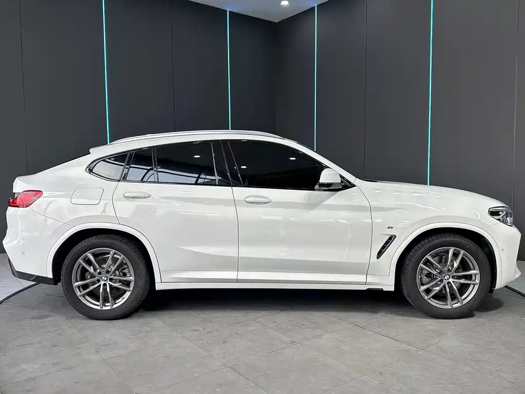 BMW X4 2019 xDrive25i M Sport