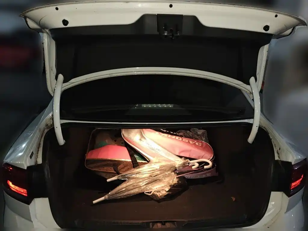Volkswagen Lamando — миниатюра 20