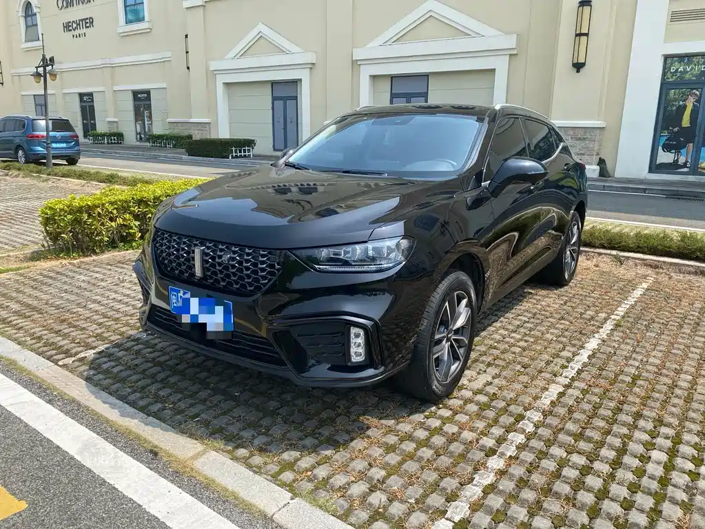 Wey Wey VV5 2020
