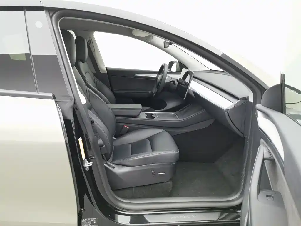 Tesla Model Y — миниатюра 23