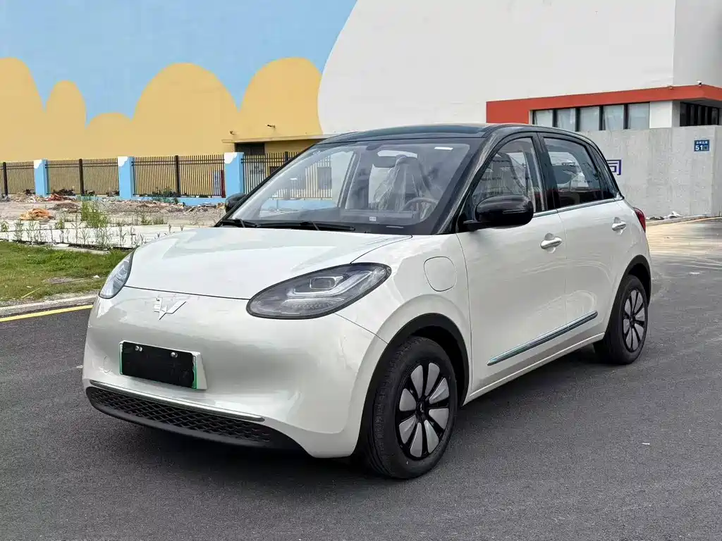 Wuling Binguo 2025 333km